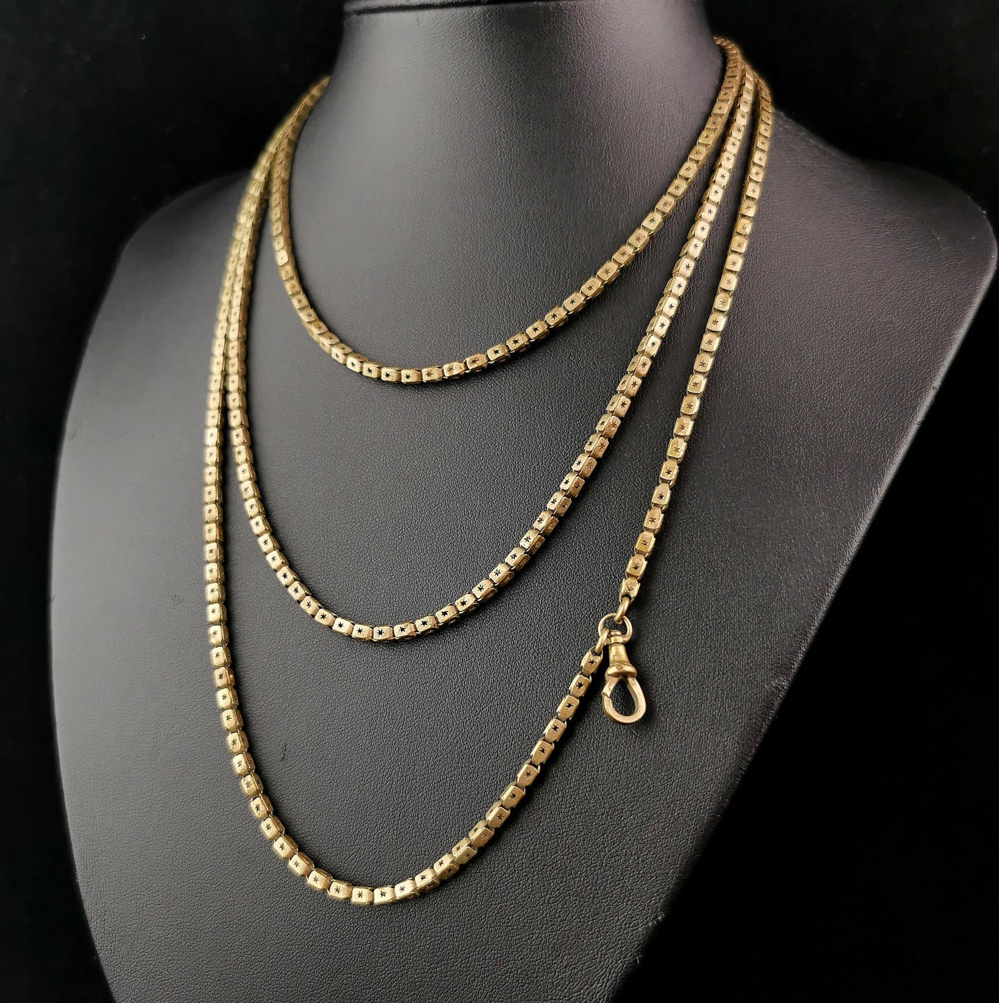 Antique Victorian Star punched long chain necklace, Longuard