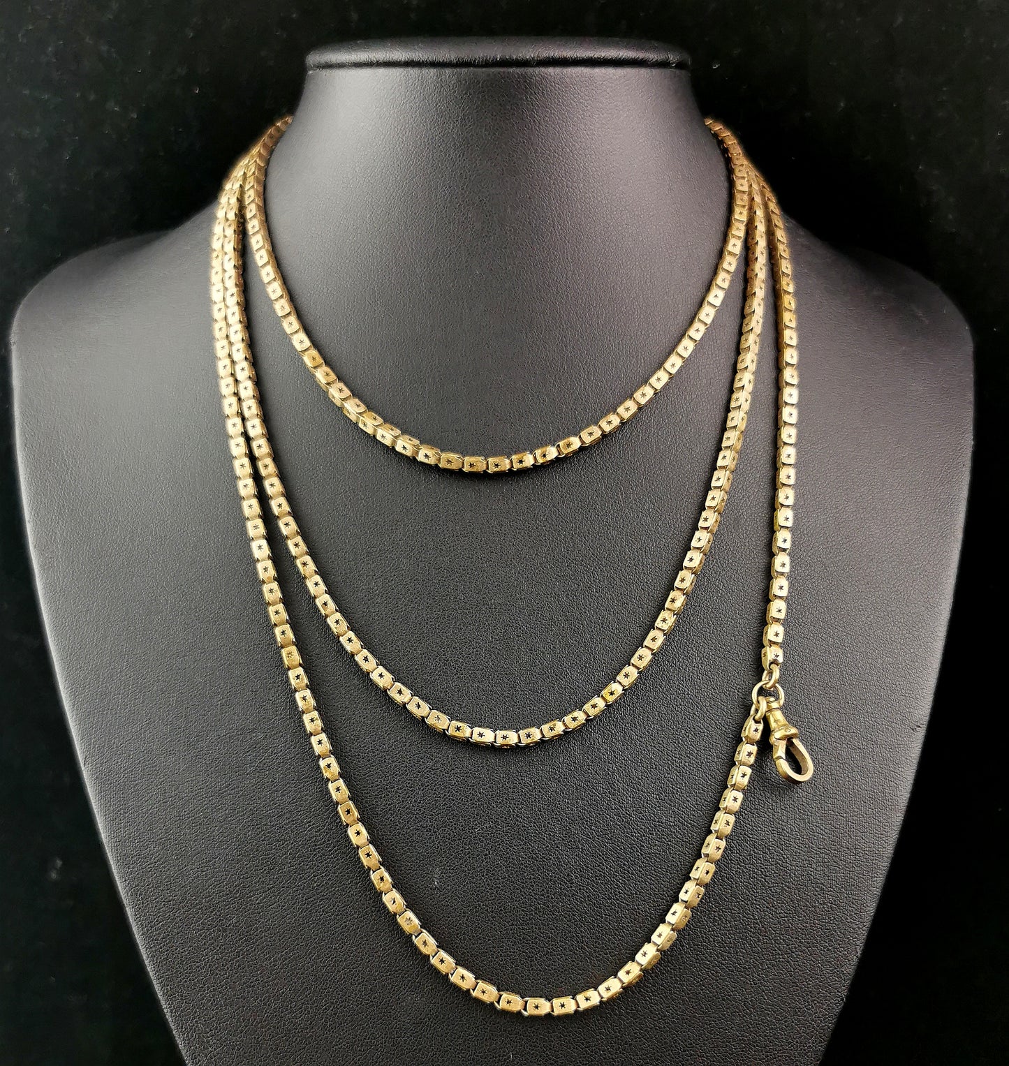 Antique Victorian Star punched long chain necklace, Longuard