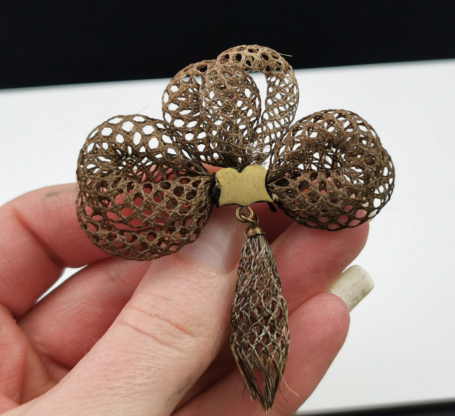 Antique Victorian Hairwork mourning brooch