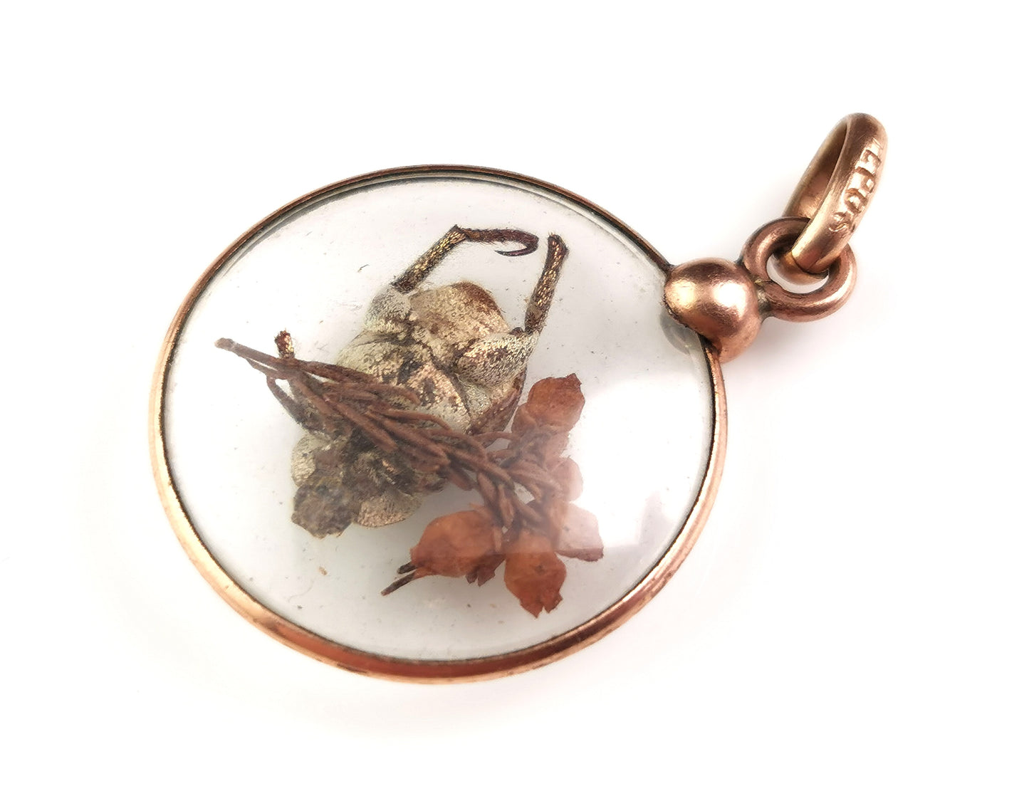 Antique French Beetle locket pendant, gold plated