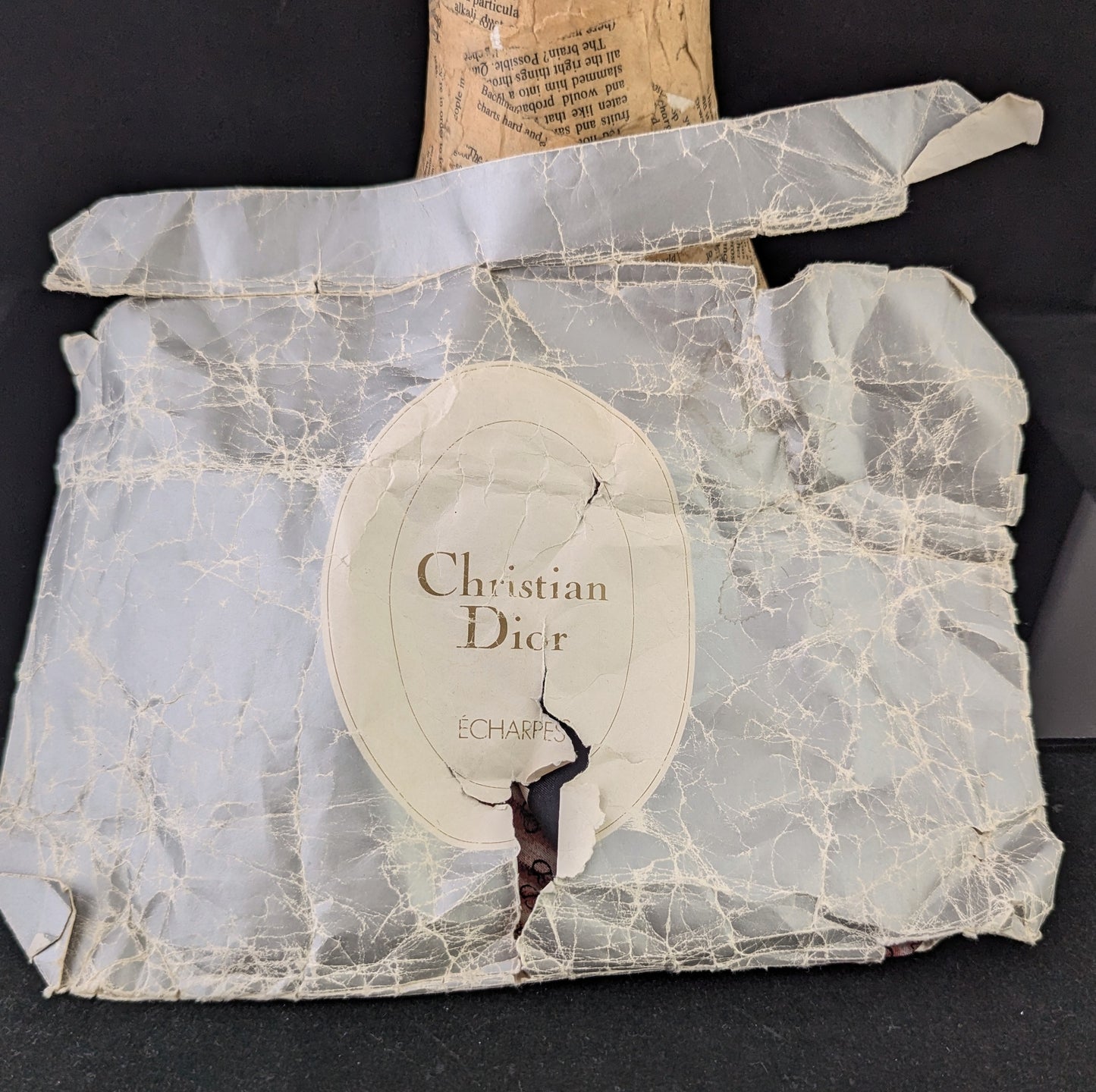 Vintage Christian Dior monogram silk scarf, Long length, Cravat